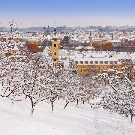 Séjour chez l'habitant Sofa G2 7 Prague